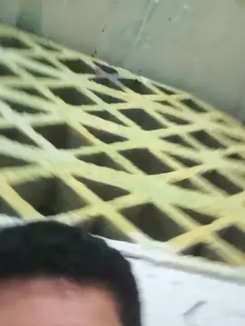 Cam4 Live Porn of Rashoasesino