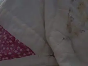 Cam4 Live Porn of Clarissarj