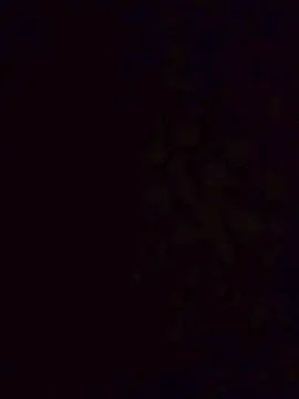 Cam4 Live Porn of Gustabo67