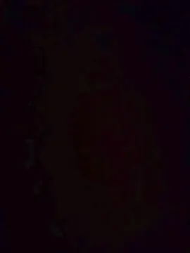 Cam4 Live Porn of Gustabo67