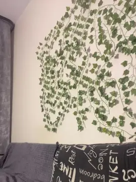 Cam4 Free Porn Cam of bravo_maestro