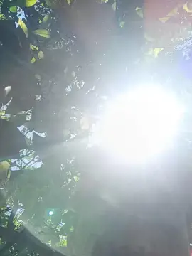 Cam4 Live Sex of TheArBoy