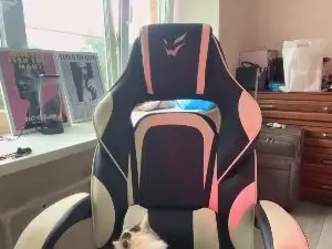 Cam4 Live Porn of NoelDuffney