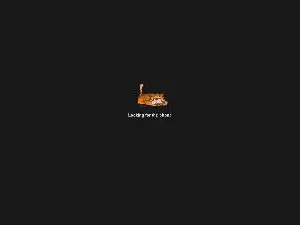 Cam4 Adult Webcam of Exzal8