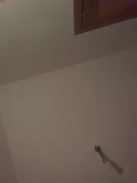 Cam4 Sex Chat of Lipshoney