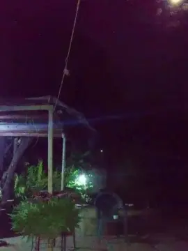 Cam4 Live Porn of RoyalMaster_xxx