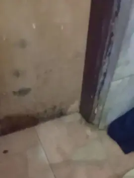 Cam4 Adult Video Chat of Abingosto