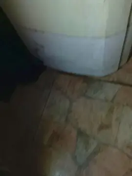 Cam4 Live Porn of Abingosto