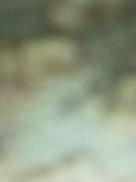 Cam4 Sex Cam of Morenotatuadooo