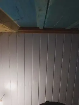 Cam4 Adult Video Chat of Morenotatuadooo