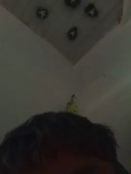 Cam4 Free Live Porn of Novinhogtz18y