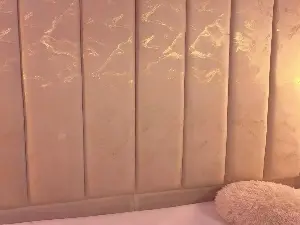 Cam4 Nude Webcam of LilyHans