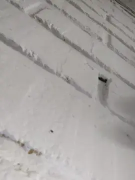 Cam4 Sex Cam of anamariaaran