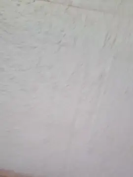 Cam4 Live Sex of bebesitvndreass