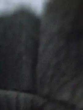 Cam4 Best Webcam of Uber_dot_Pr
