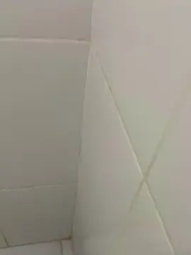 Cam4 Live Sex Cam of Novo20033