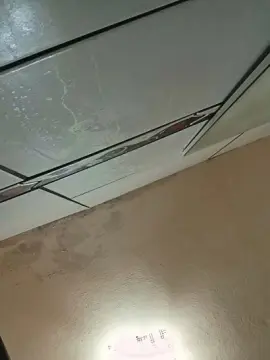 Cam4 Best Webcam of Kelmts