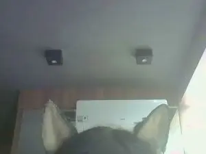 Cam4 Watch Live Sex Cams of SkinnyKittenCam