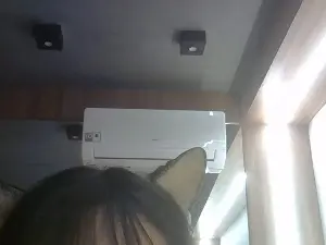 Cam4 Adult Webcams of SkinnyKittenCam