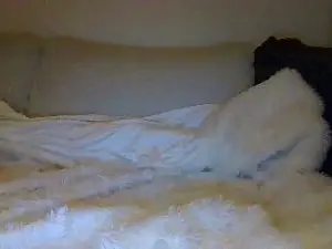 Cam4 Best live sex cam show of Anonymegirrl