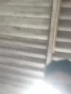 Cam4 Best Webcam of Threem232