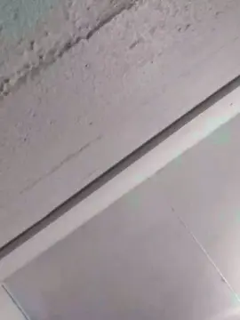 Cam4 Best Webcam of Threem232