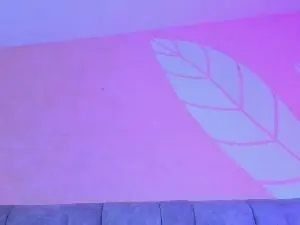 Cam4 Private Sex Chat of MarcoAndAllicec