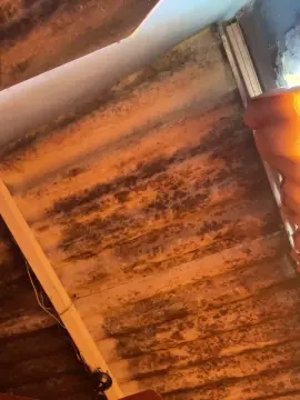 Cam4 Live Sex Cam of Ladivaprilai