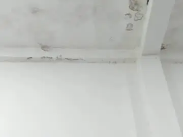 Chaturbate Sex Chat of rihanna_hotx