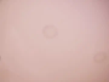 Chaturbate Free Porn Cam of abby_me