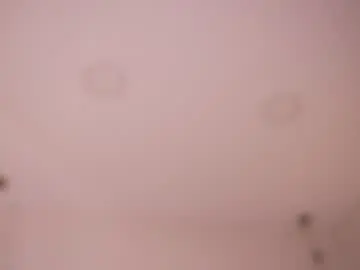 Chaturbate Best Webcam of abby_me