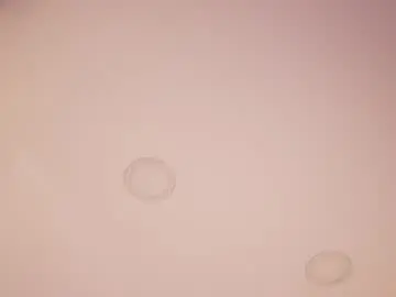 Chaturbate Free Live Porn of abby_me