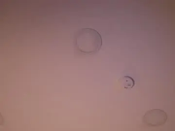 Chaturbate Free Porn Cam of abby_me