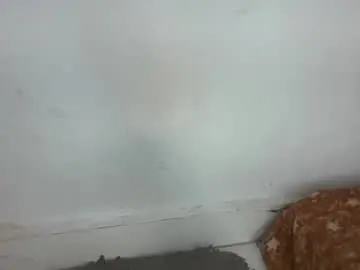 Chaturbate Sex Cam of pureelove