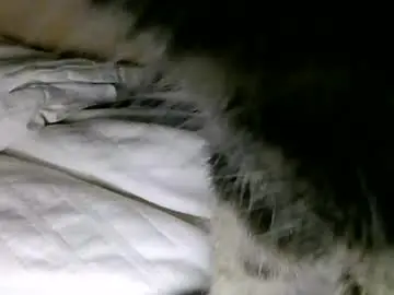 Chaturbate Live Porn of lolalovergirl333