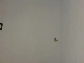 Chaturbate Free Porn Cam of fariha_babyy