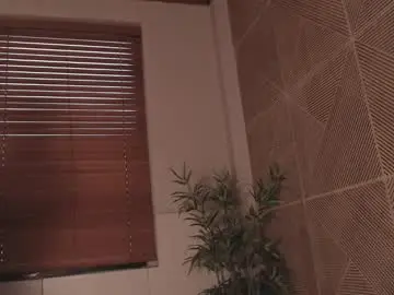 Chaturbate Adult Video Chat of noah_dupont_