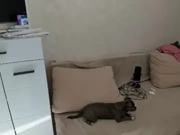 Chaturbate Free Live Porn of ray_hill