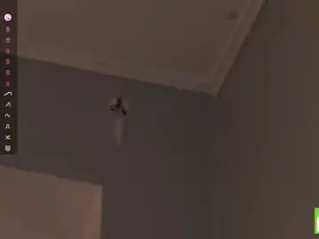 Chaturbate Adult Video Chat of zara_shine