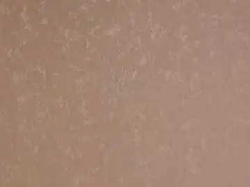 Chaturbate Live Sex Cam of zara_shine