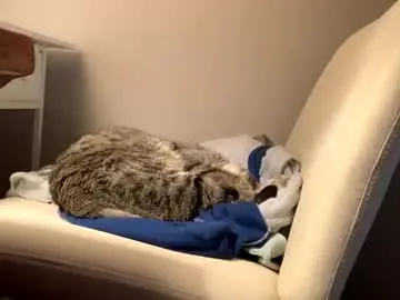 Chaturbate Adult Webcams of hottiewithabody101