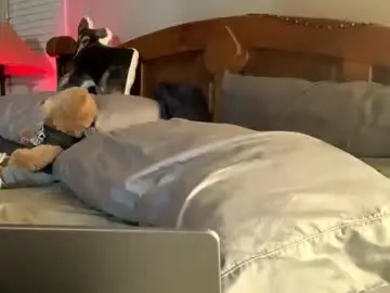 Chaturbate Sex Chat of hottiewithabody101