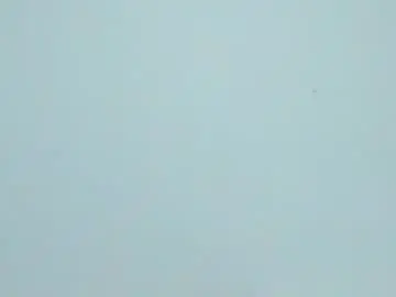 Chaturbate Sex Cam of master_dominant_777