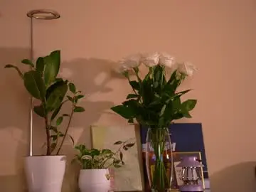 Chaturbate Watch Live Sex Cams of wanda_robinson