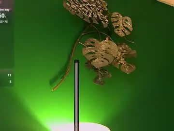 Chaturbate Adult Video Chat of megancookie