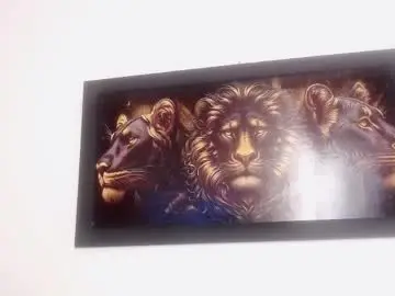 Chaturbate Sex Chat of drake_brown_23