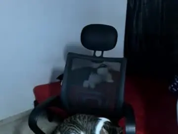 Chaturbate Sex Chat of guts_x