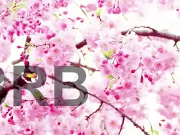 Chaturbate Adult Video Chat of lorraine_baker