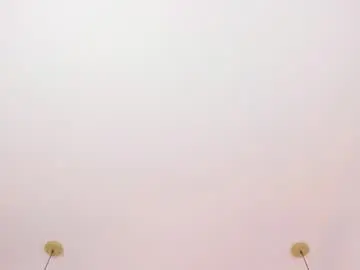 Chaturbate Adult Video Chat of danaandthamaraangels