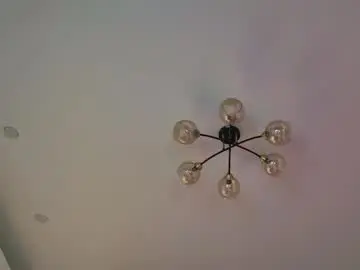 Chaturbate Adult Video Chat of pussy_without_pussy